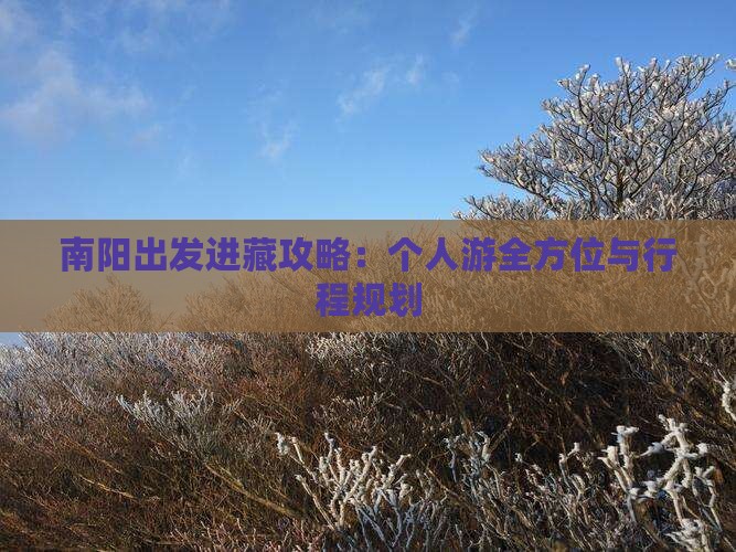 南阳出发进藏攻略：个人游全方位与行程规划