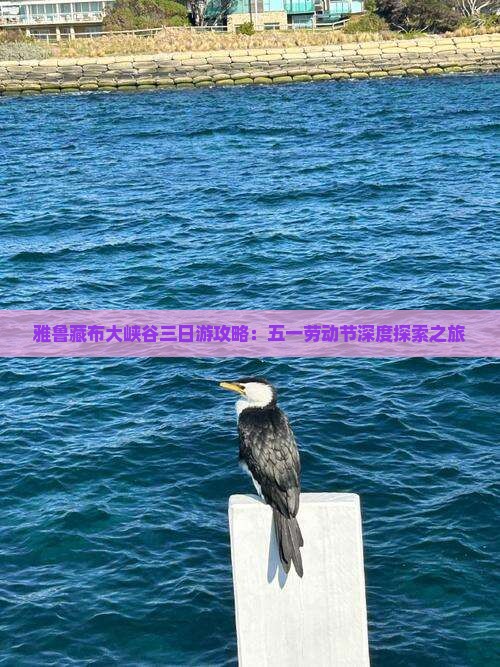 雅鲁藏布大峡谷三日游攻略：五一劳动节深度探索之旅