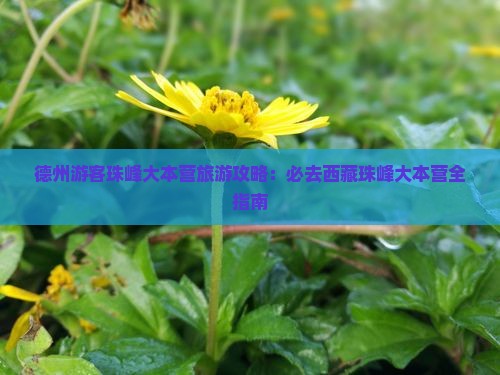 德州到西藏珠峰大本营必去地