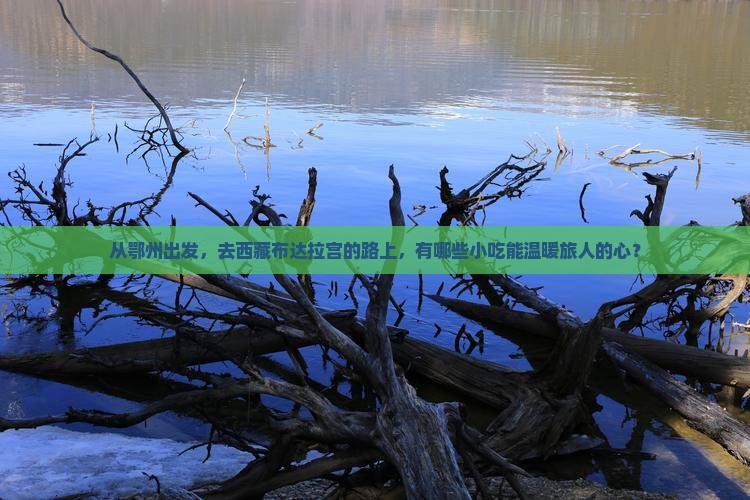 鄂州到西藏布达拉宫旅游小吃