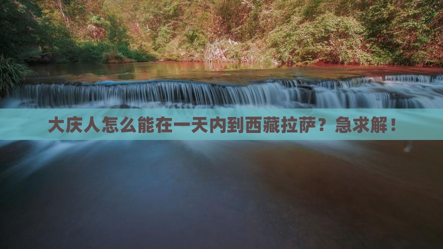 大庆去西藏拉萨一日