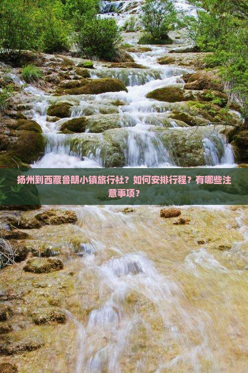 扬州到西藏鲁朗小镇旅行社