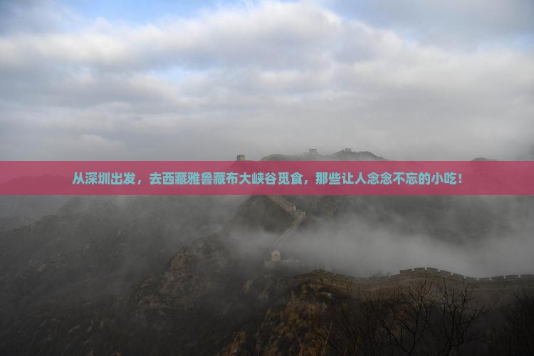 深圳去西藏雅鲁藏布大峡谷旅游小吃
