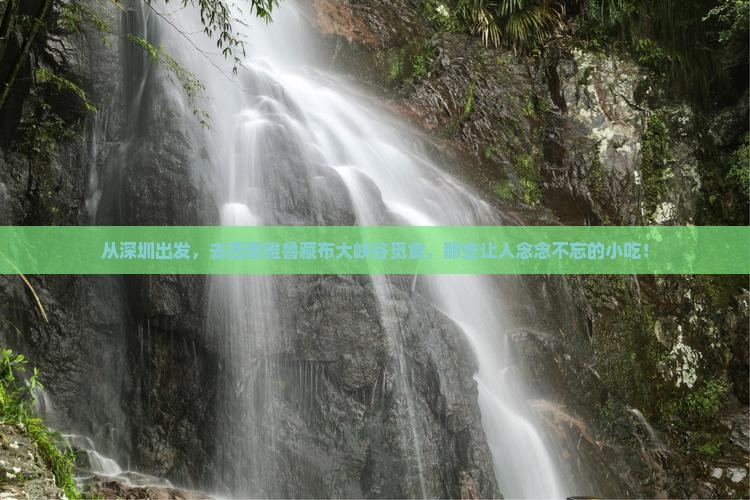 深圳去西藏雅鲁藏布大峡谷旅游小吃