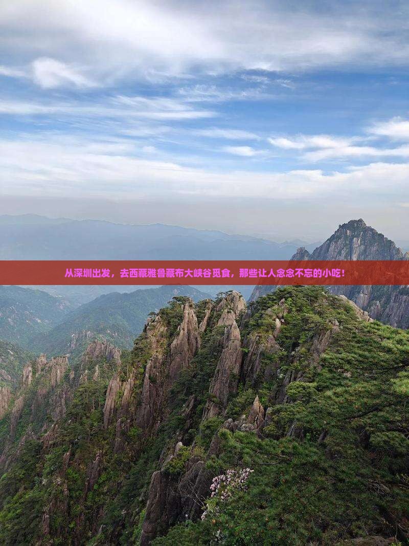 深圳去西藏雅鲁藏布大峡谷旅游小吃