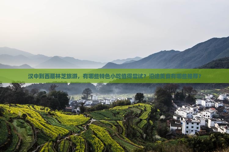 汉中到西藏林芝旅游小吃