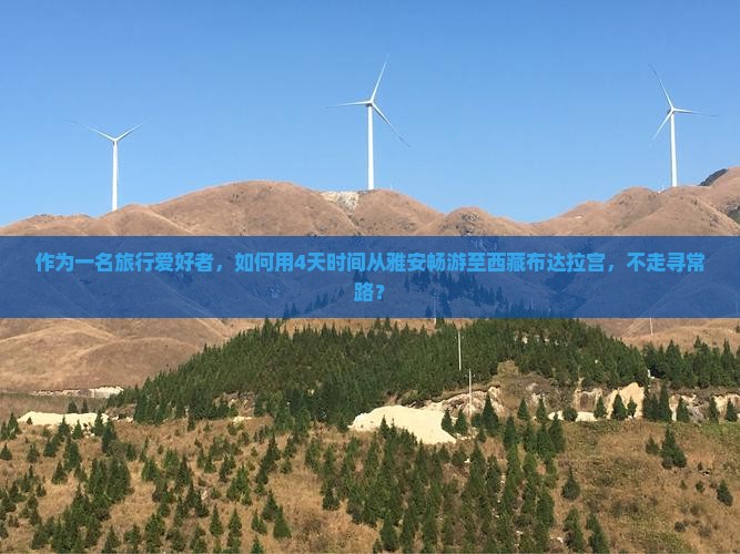 雅安到西藏布达拉宫四日游