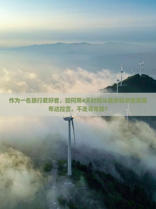 雅安到西藏布达拉宫四日游