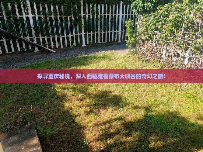 重庆去西藏雅鲁藏布大峡谷旅游