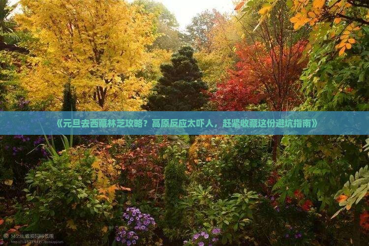 元旦去西藏林芝攻略