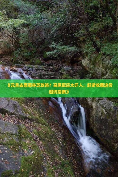 元旦去西藏林芝攻略