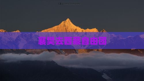 襄樊去西藏自由团