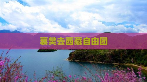 襄樊去西藏自由团