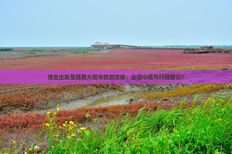 茂名去西藏大昭寺旅游小吃