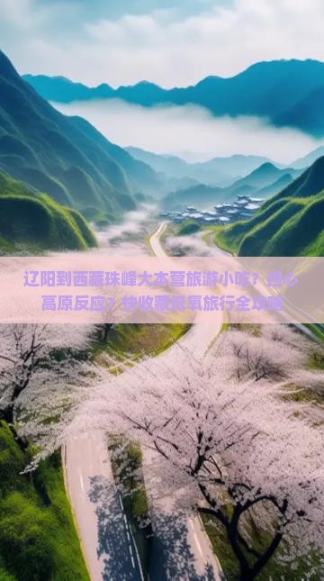 辽阳到西藏珠峰大本营旅游小吃