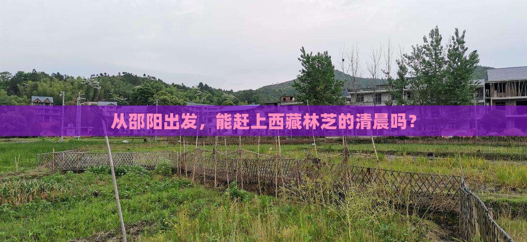 邵阳到西藏林芝一日