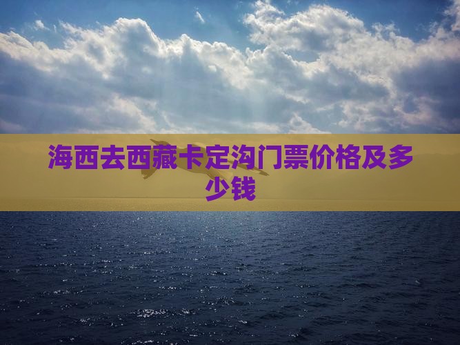 海西去西藏卡定沟门票