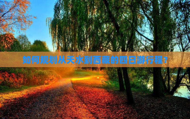 天水到西藏四日游