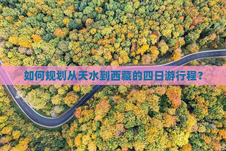 天水到西藏四日游