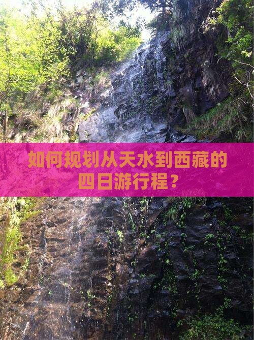 天水到西藏四日游