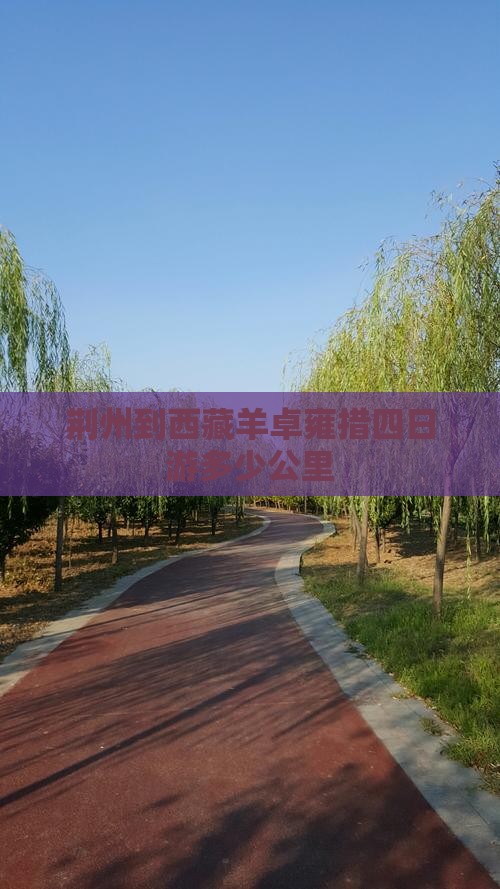 荆州到西藏羊卓雍措四日游