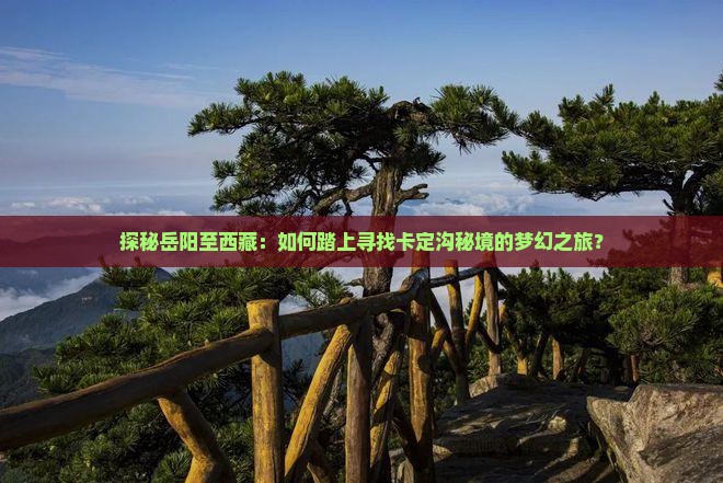 岳阳到西藏卡定沟攻略