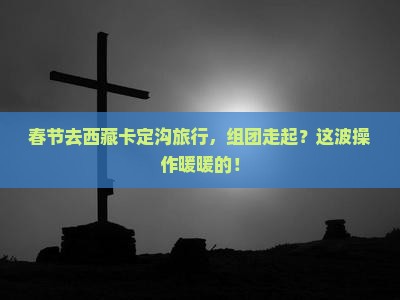 春节到西藏卡定沟团体旅游