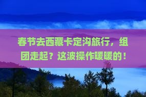 春节到西藏卡定沟团体旅游