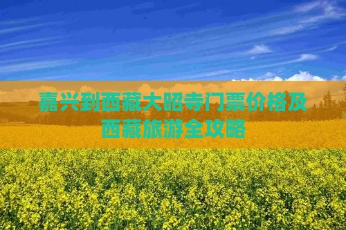 嘉兴到西藏大昭寺门票