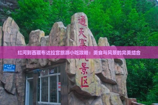 红河到西藏布达拉宫旅游小吃