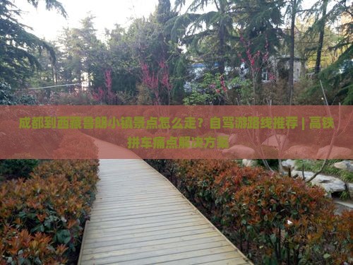成都去西藏鲁朗小镇景点