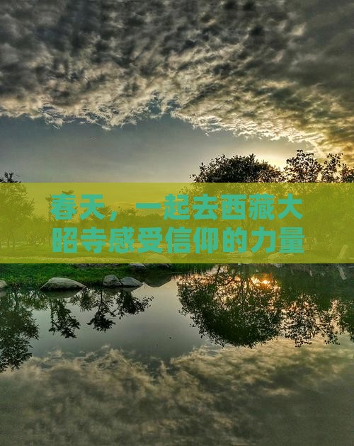 春天到西藏大昭寺旅行社