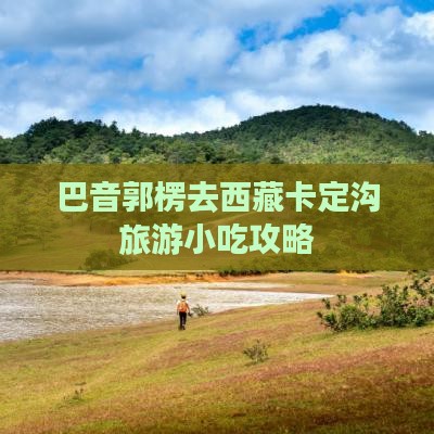 巴音郭楞去西藏卡定沟旅游小吃