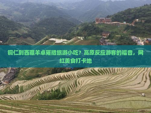 铜仁到西藏羊卓雍措旅游小吃