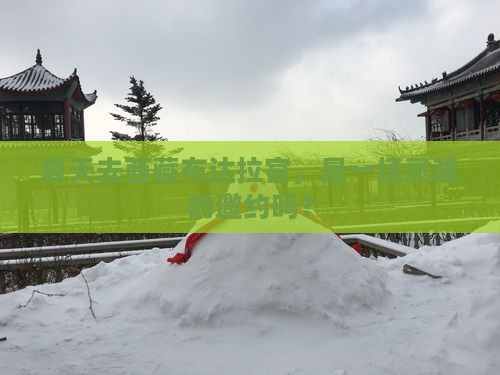 夏天到西藏布达拉宫攻略
