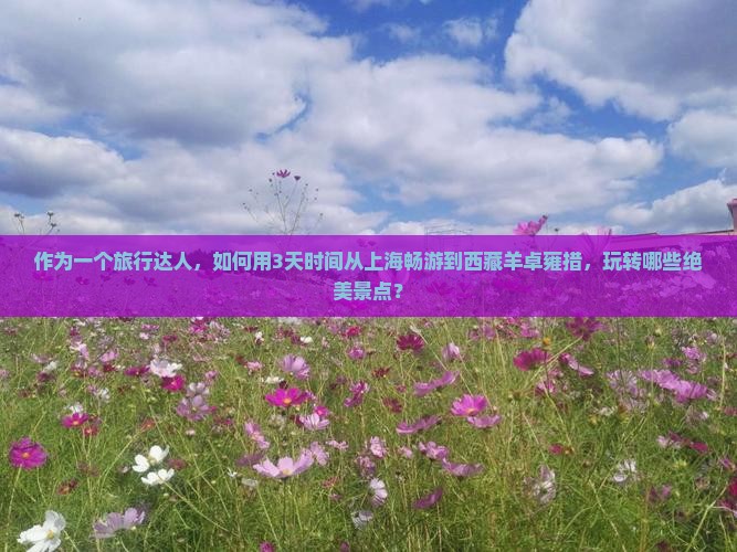 上海到西藏羊卓雍措哪里玩