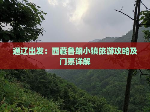 通辽市去西藏鲁朗小镇门票