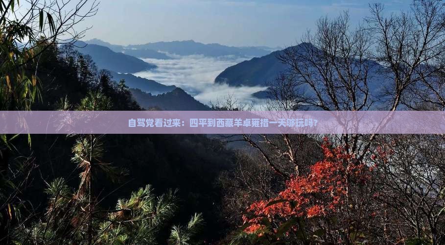 四平到西藏羊卓雍措一日