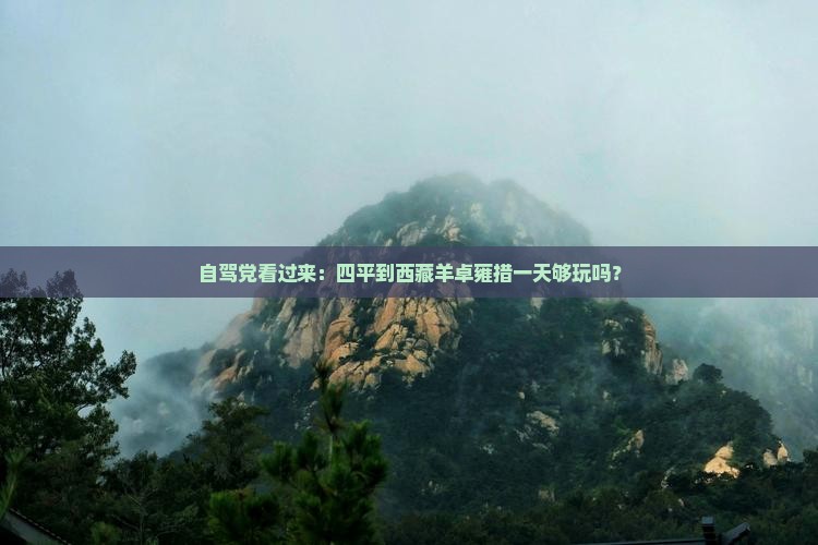 四平到西藏羊卓雍措一日