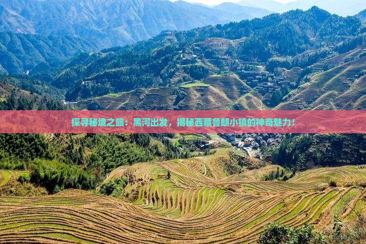 黑河到西藏鲁朗小镇旅行社