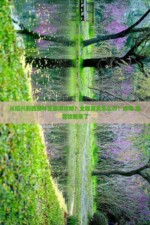 绍兴到西藏林芝攻略 绍兴到西藏林芝攻略