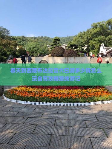 春天到西藏布达拉宫六日游