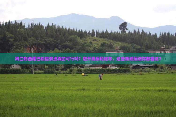 周口到西藏巴松措景点