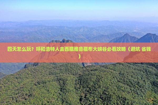 呼和浩特去西藏雅鲁藏布大峡谷四日游