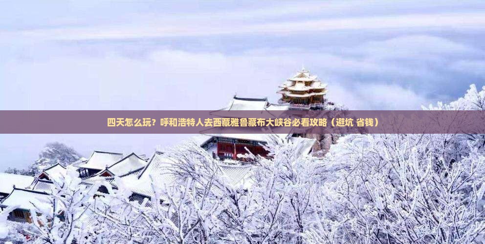 呼和浩特去西藏雅鲁藏布大峡谷四日游