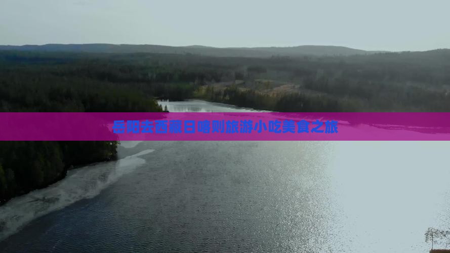 岳阳去西藏日喀则旅游小吃