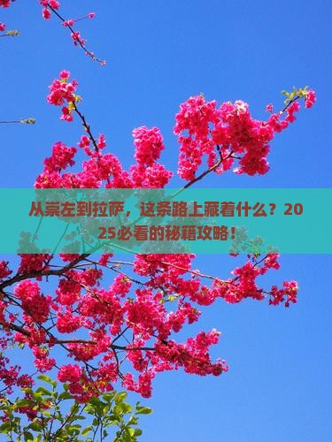崇左去西藏拉萨景点