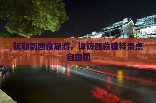 抚顺到西藏自由团