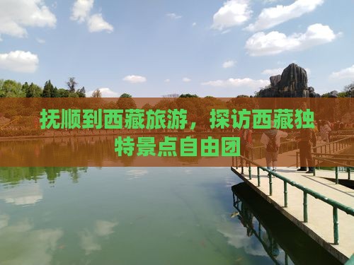 抚顺到西藏自由团