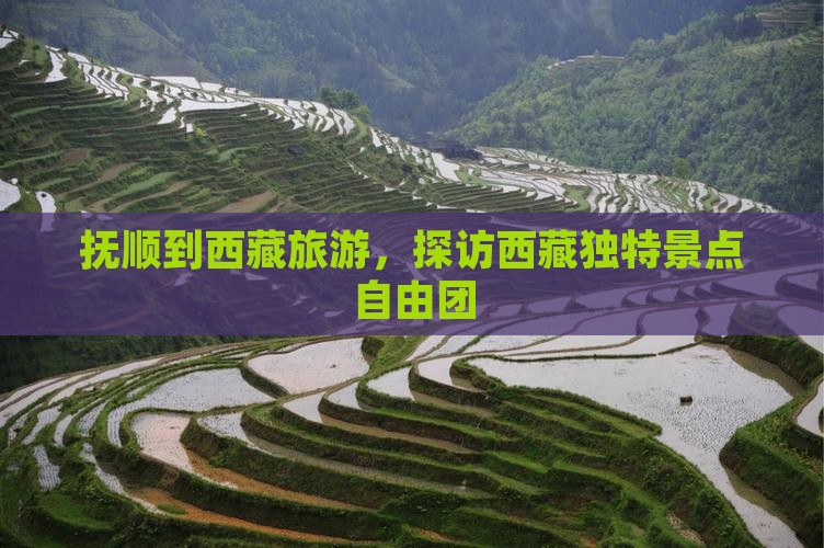 抚顺到西藏自由团